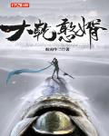 《大乾憨婿》封面