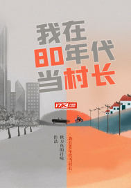 我在80年代当村长封面