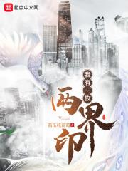 我有一枚两界印封面